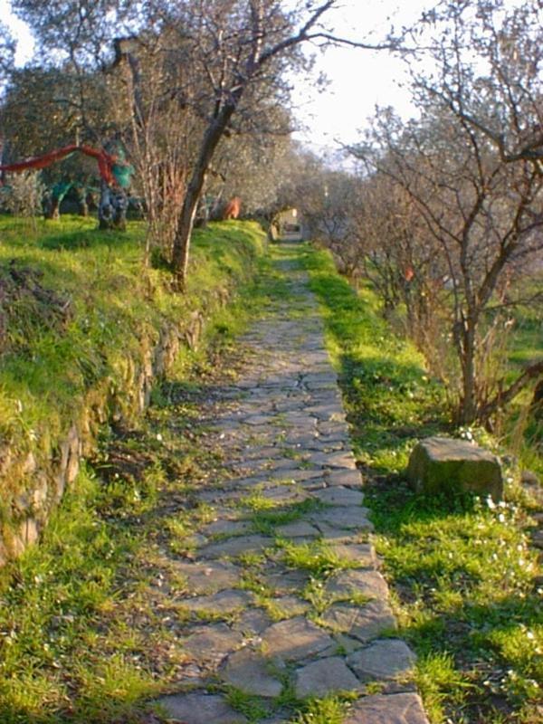 Agriturismo Il Vecchio Casale Guest House Vatolla Eksteriør bilde